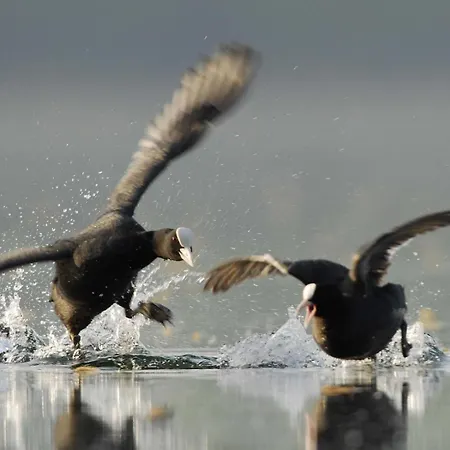 펜션 Au Clos De Marie Lusigny-sur-Barse