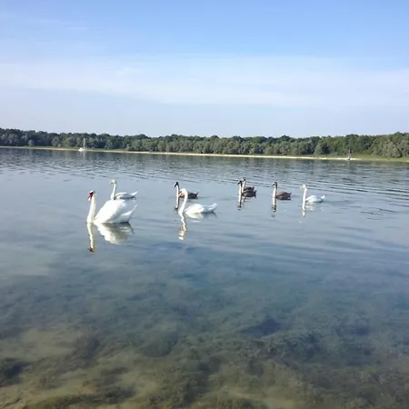 Au Clos De Marie 펜션 *