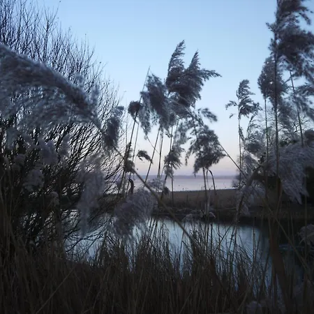 Au Clos De Marie 펜션