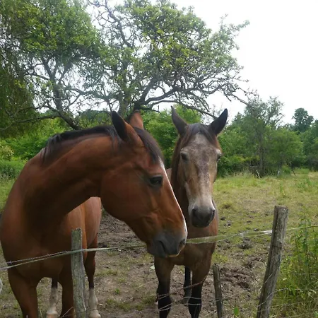 Au Clos De Marie 펜션 *