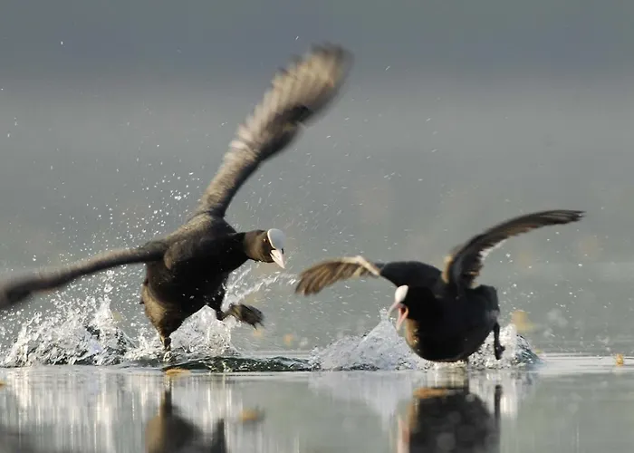 Tatil Evi Au Clos De Marie Lusigny-sur-Barse